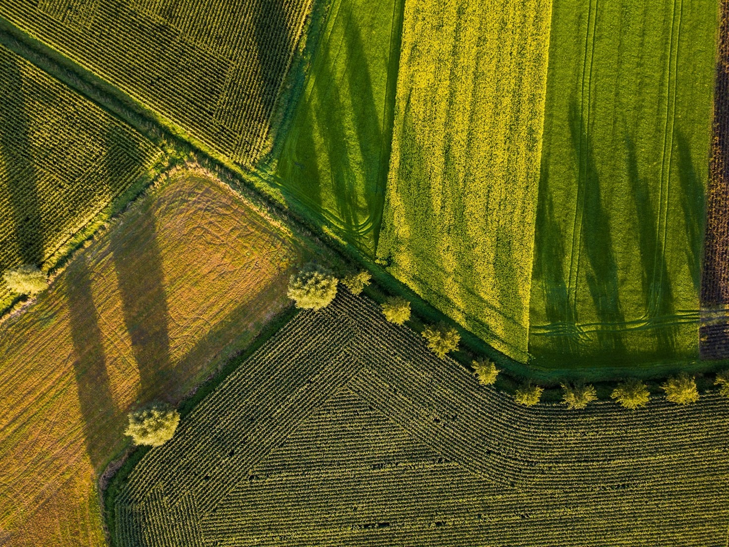 Como proteger seu patrimônio rural com segurança